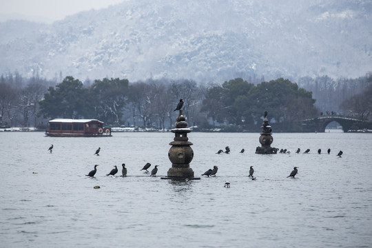 三潭印月雪霁