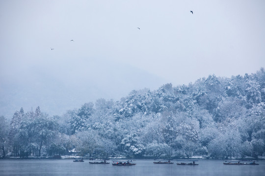 西湖雪韵