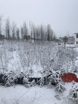 雪景