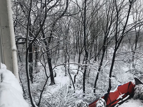 雪景