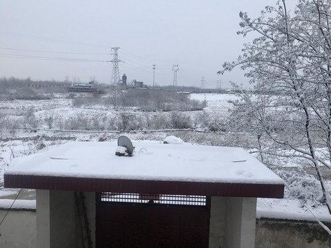 雪景
