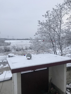 雪景