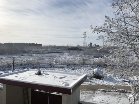 雪景