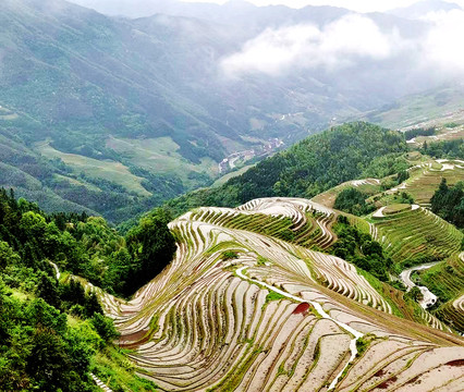 龙脊梯田