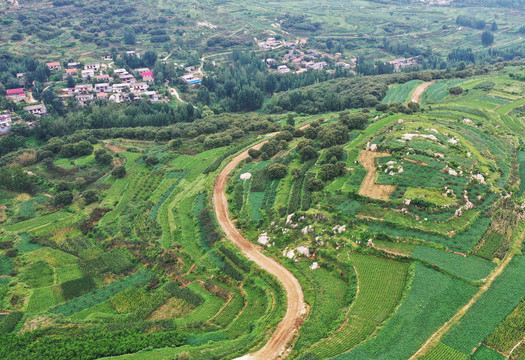 山东枣庄山亭区山乡梯田