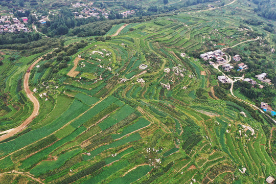 山东枣庄山亭区山乡梯田