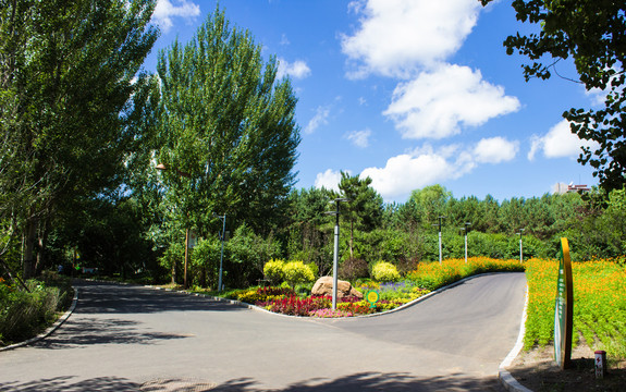 公园鲜花道路