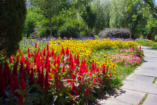 鲜花甬路