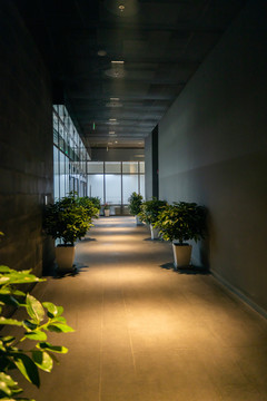 北京城市建筑办公楼走廊