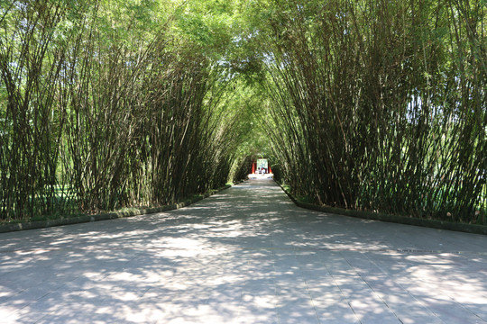 竹林小路