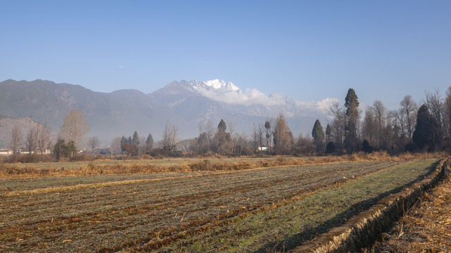 清晨的雪山树林与田野