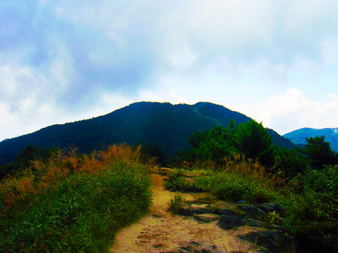 大别山鄂皖交界处山脊