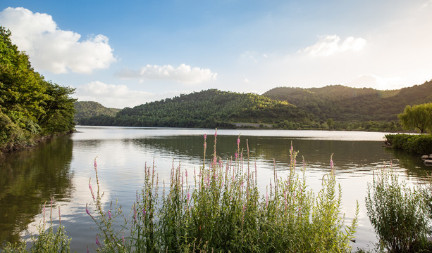 宁波荪湖水库