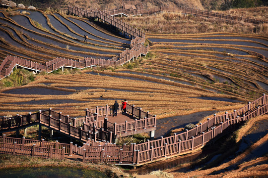 米易新山梯田