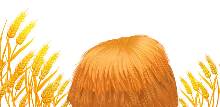 手绘秋天成熟的小麦和麦秸堆插画
