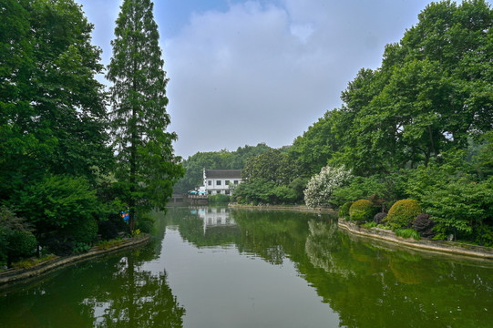 城市公园的树木河流