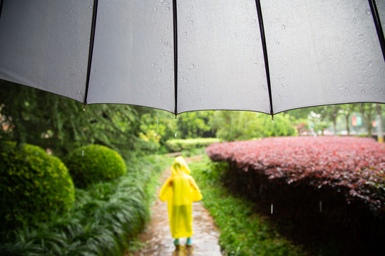 下雨中