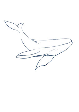 鲸鱼手绘线稿