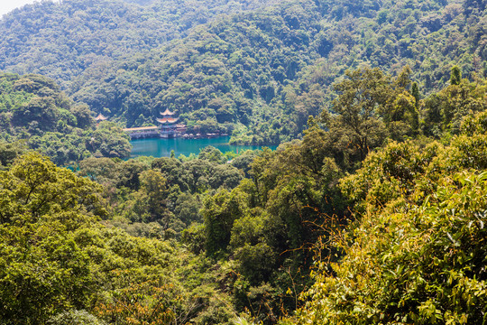 大山森林