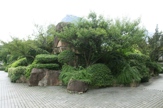 植物园