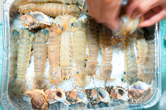 盐焗皮皮虾盐焗濑尿虾制作过程