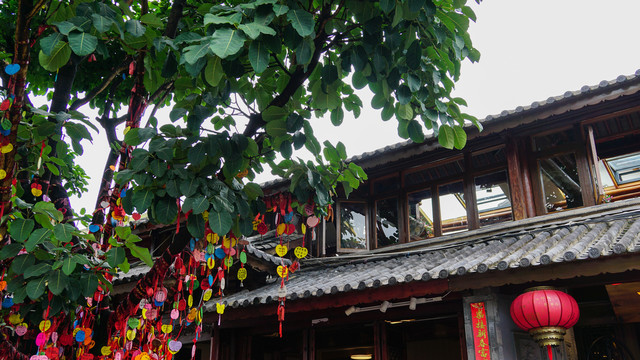 中式建筑许愿树