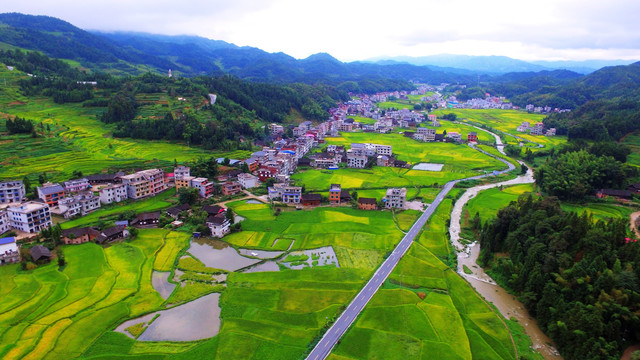 紫鹊界梯田2020年秋景