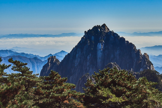 黄山石头和松树