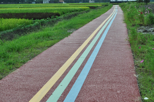 健康步道