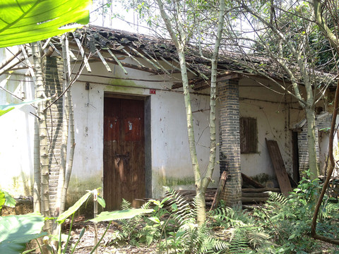 泥砖屋残垣断壁