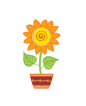 手绘植物黄色向日葵太阳花插画