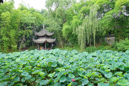 三苏祠