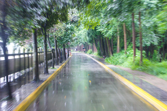雨中的路