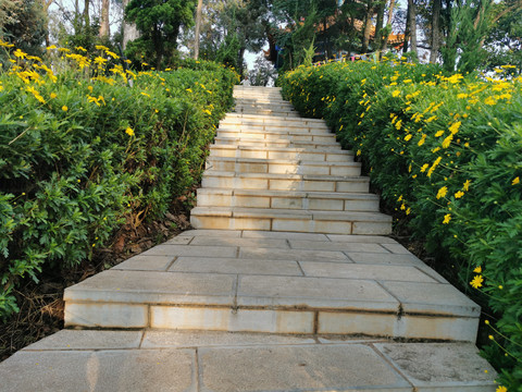 园林小道踏步楼梯景观绿化