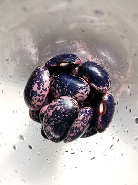 新鲜紫色白芸豆大豆类
