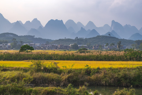 乡村风景