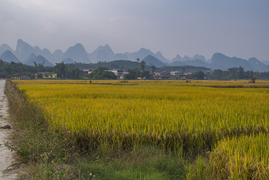 乡村景色