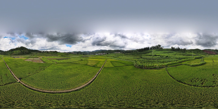 农村大平地全景图