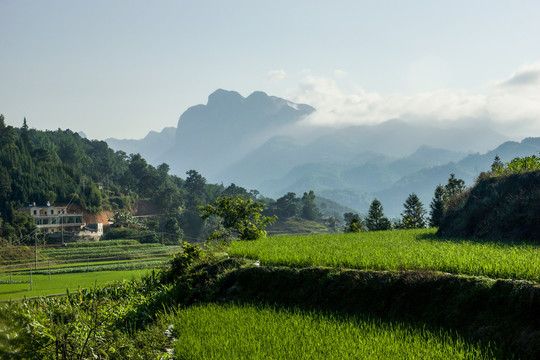 南丹山田园风光