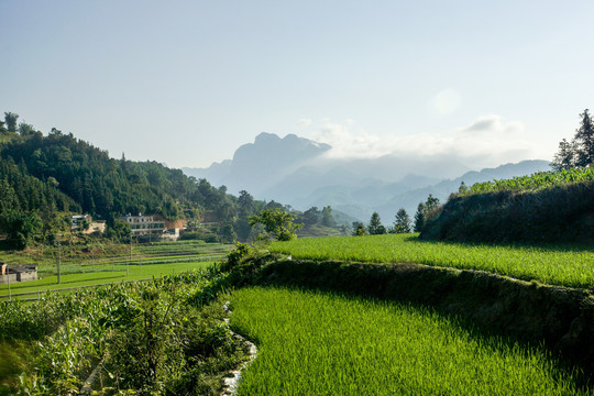 南丹山田园风光
