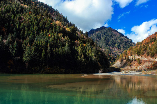 阿坝州秋色彩林蓝天白云湖水