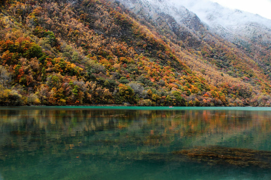 阿坝州秋色彩林蓝天白云湖水