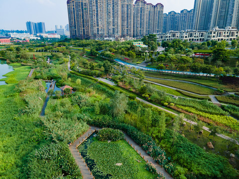 广西南宁那考河湿地公园