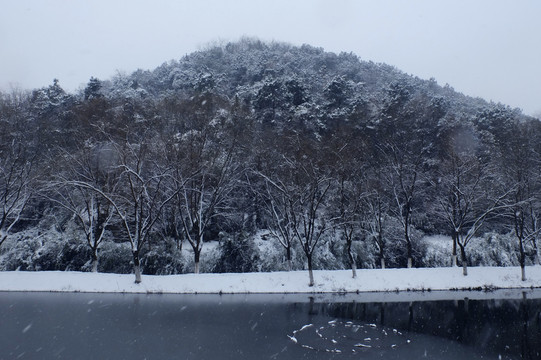 山上雪景