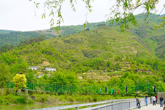 汇湾河5