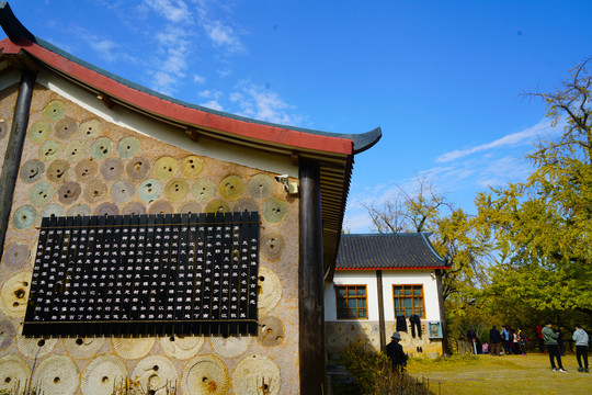 银杏树