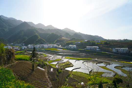 中峰田园