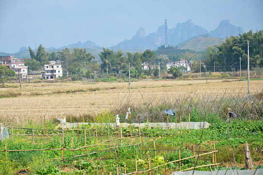 山区农村