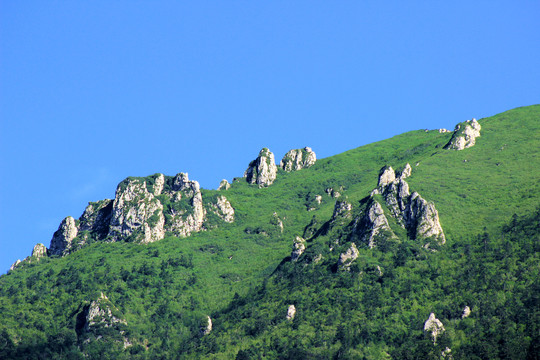 冶力关莲花山