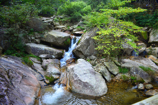 溪水风景